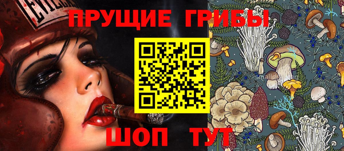 Кировск  Псилоцибиновые грибы Psilocybe  Вход с VPN 